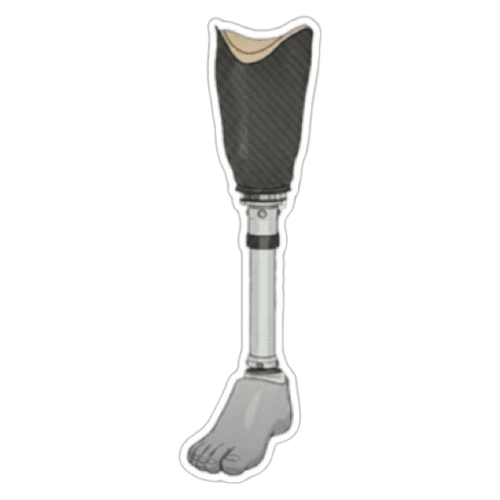 Aspire Mobility Prosthetic